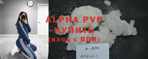 сатива Волоколамск