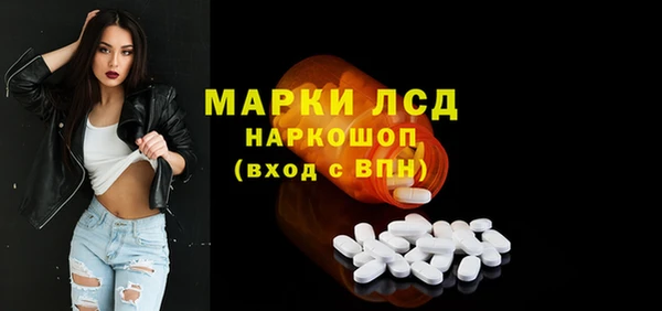 сатива Волоколамск