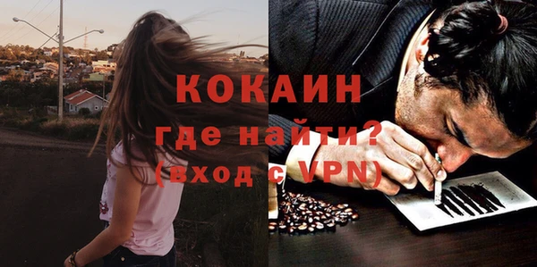 сатива Волоколамск