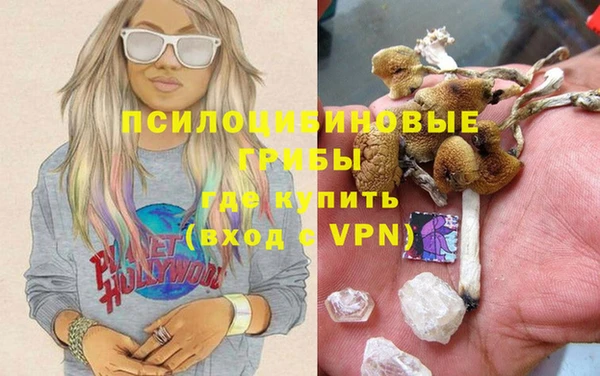 СК Володарск