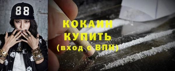 ПСИЛОЦИБИНОВЫЕ ГРИБЫ Верея